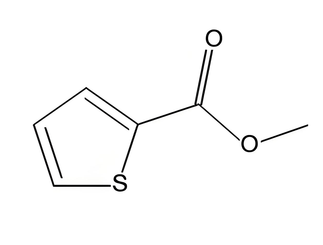 2-噻吩甲酸甲酯